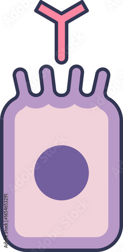 Icon of an antibody targeting a distal tubule cell. Illustrates immune response, autoimmune kidney disease, or targeted therapy in renal physiology.
