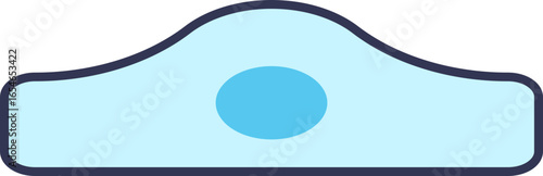 A simplified diagram of an endothelial cell, showing its flattened shape and central nucleus. Represents the basic unit of the blood vessel lining, crucial for vascular health.
