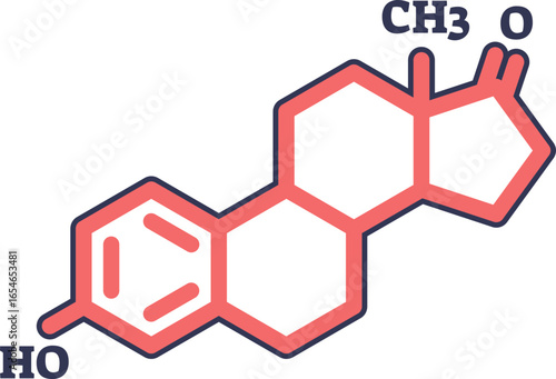Stylized chemical structure of the estrone molecule, a type of estrogen hormone. This icon represents female biology, endocrinology, and biochemistry concepts.