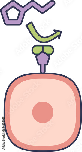 Icon of a histamine receptor on a cell being blocked by an antagonist. This prevents the histamine molecule from binding, illustrating the mechanism of action for antihistamine allergy medication.