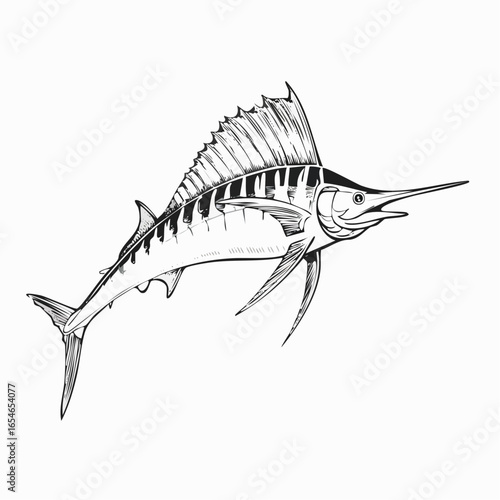Sailfish Drawing Vectors and Vector Art isolated on white background.