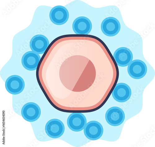 Illustration of a shrunken cell (crenation) in a hypertonic solution. Represents cellular dehydration caused by high extracellular sodium, a key effect of hypernatremia.