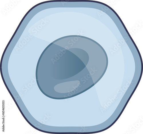A biological illustration of a monoblast, an immature white blood cell. The image shows the cell's basic structure with a large nucleus and cytoplasm, representing hematopoiesis and immunology.