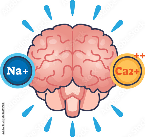A cartoon brain with Sodium (Na+) and Calcium (Ca2+) ions, illustrating their key roles in neural excitability, action potentials, and synaptic transmission. Brain activity concept.