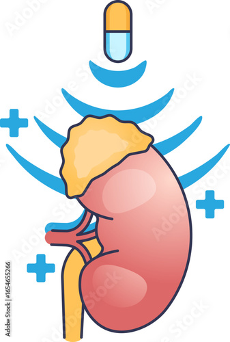 A pill's pharmacologic effect on a human kidney. The illustration shows a capsule targeting the organ, symbolizing renal treatment, nephrology medication, and kidney health restoration.