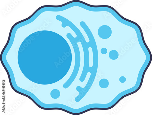 A stylized icon of a plasma cell (plasmacyte) showing its eccentric nucleus and endoplasmic reticulum. Represents immunology, antibody production, and cellular biology.