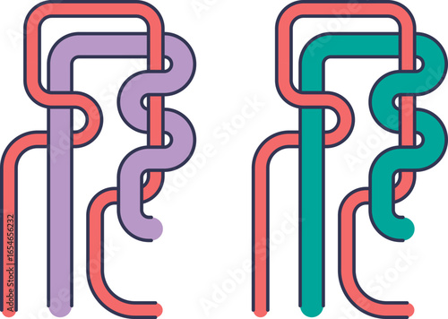 Stylized diagrams of proximal and distal tubules of a nephron, intertwined with peritubular capillaries. Vector art representing renal reabsorption and secretion processes in the kidney.