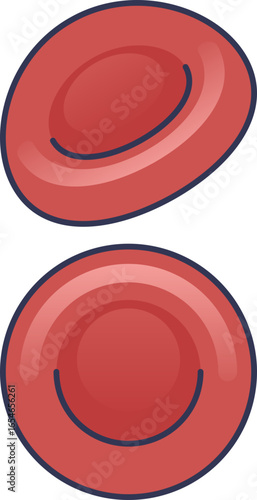 An illustration of two red blood cells (erythrocytes) from different angles. Represents hematology, blood circulation, and oxygen transport for medical and scientific concepts.