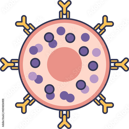 Illustration of a sensitized mast cell. IgE antibodies are bound to its surface, and internal granules contain histamine. This cell is primed for an allergic response.