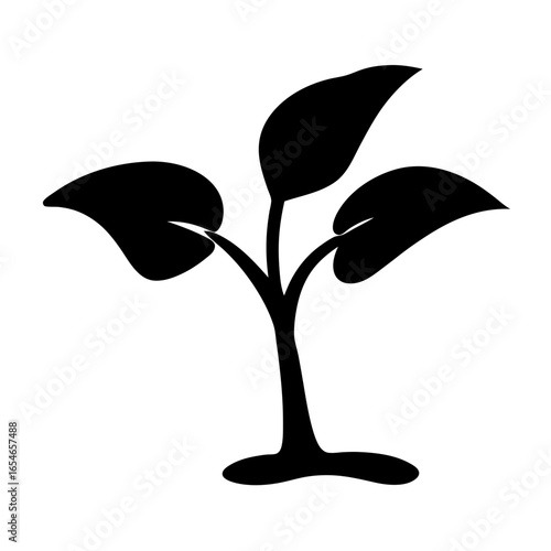 Silhouette image of a small plant with three leaves growing up