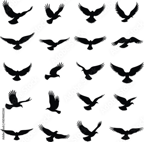 Collection of bird silhouettes in flight various poses