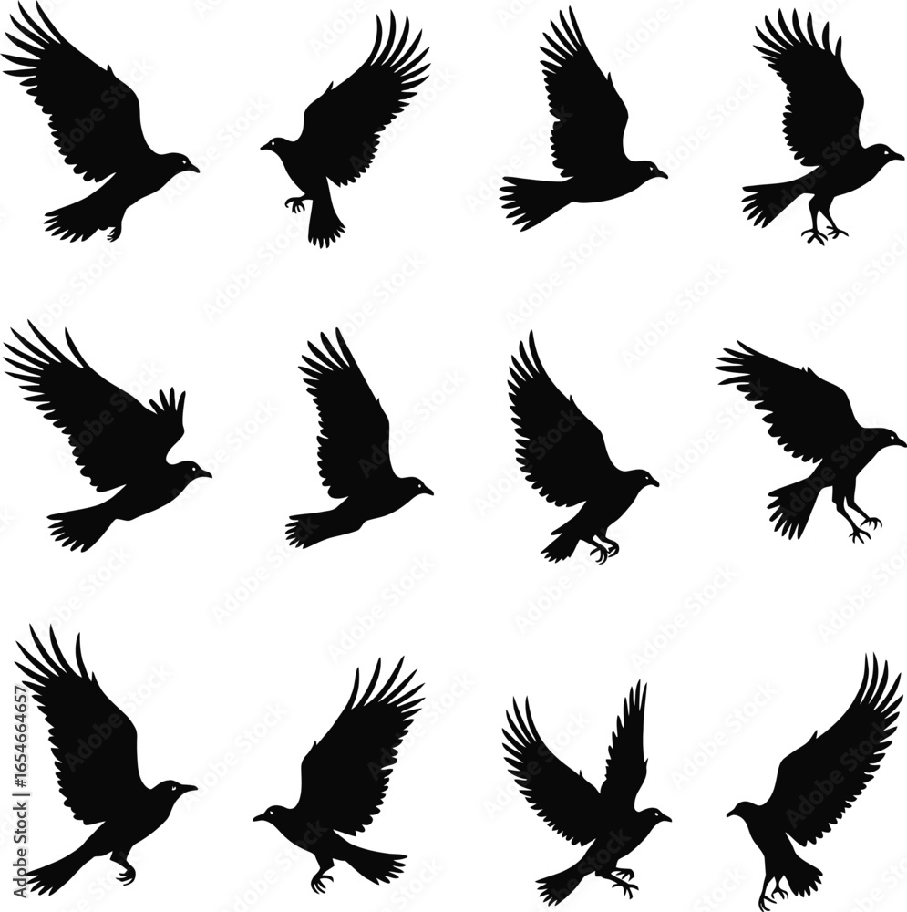 Fototapeta premium Twelve black crow silhouettes in flight diverse poses