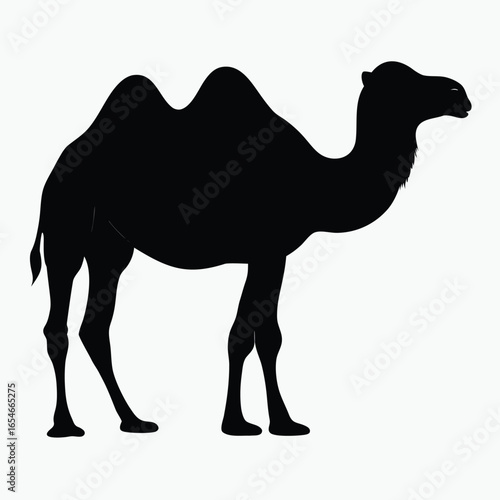 Black Camel Silhouette Vector Minimalist Desert Animal Icon Design