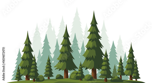 Illustration of a lush evergreen forest featuring tall pine trees with varying shades of green and dense foliage creating a serene woodland scene