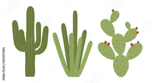 Minimalist Illustration of Diverse Cactus Species Showcasing Various Shapes and Textures in a Nature-Inspired Design