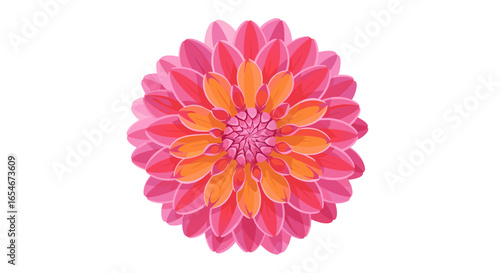 Vibrant Multicolored Floral Pattern with Symmetrical Petal Arrangement Illustrating Nature's Artistic Symmetry and Color Harmony in Close-Up View