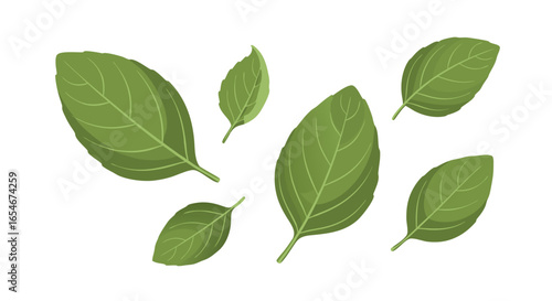 illustration of green leaves variety with detailed vein structures exhibiting freshness and natural beauty for botanical design or environmental