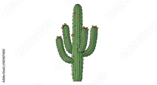 Illustration of a Tall Green Saguaro Cactus with Orange Flowers and Multiple Arms in a Minimalist Style