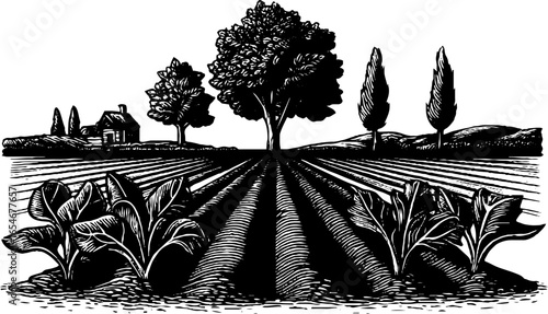 Engraved illustration of vegetable garden with trees and country house - retro design for print