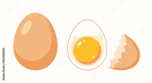 Simple illustrative depiction of a whole egg a halves and cracked shell emphasizing raw eggs in a minimalistic style suitable for dietary or