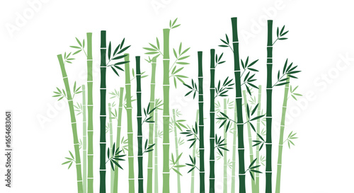 Elegant Bamboo Forest Illustration Featuring Various Green Stalks and Delicate Leaves Highlighting Nature's Serenity and the Simplicity of Natural