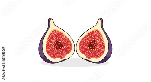 Illustration of a Fresh Ficus Carica or Common Fig Fruit Cut in Half Showing Its Juicy Red Interior and Unique Seed Pattern for Healthy Diet and