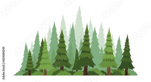 Lush Coniferous Forest with Dense Tall Trees and Vibrant Green Foliage Creating a Serene Natural Landscape Scene