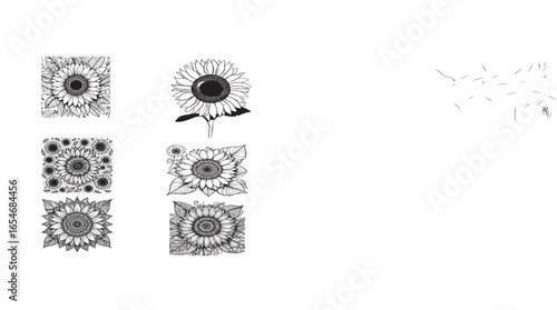 Sun Flower art black and white