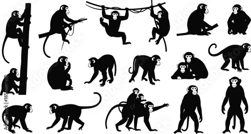 Monkey silhouettes wildlife vector illustration, primate animal clipart, jungle forest fauna art, climbing, hanging, sitting poses, black shape design, nature
