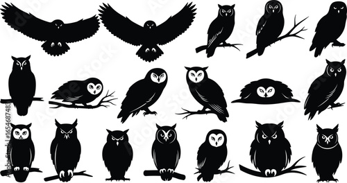 Owl silhouettes, flying owl poses, perched owl designs, nocturnal bird art, wildlife illustration, owl wings spread, black and white bird graphics