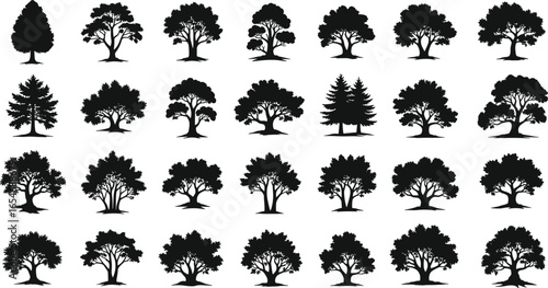 Tree silhouettes, black vector trees, diverse canopy shapes, botanical set, forest illustration, nature clipart, coniferous and deciduous, landscape design elements