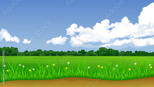 Summer green landscape. Field with flowers.
