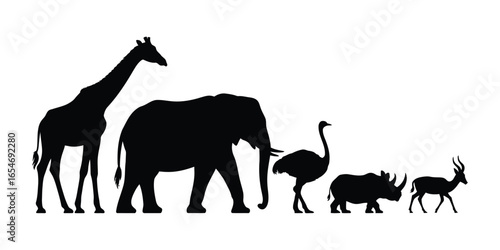 Silhouettes of giraffe, elephant, ostrich, rhinoceros, warthog, and antelope—showcasing African wildlife diversity and comparative anatomy