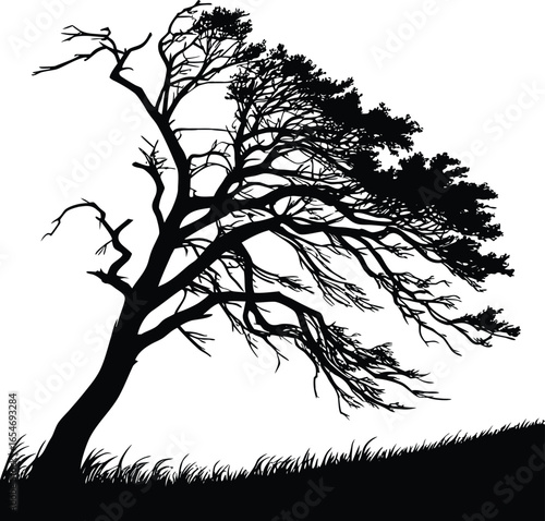 Dramatic broken tree leaning in stormy wind silhouette