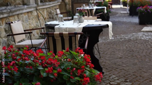 An outdoor café setting with neatly arranged tables, chairs, and vibrant red flowers