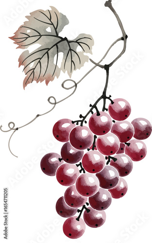 A Bunch of Grapes with a Withered Leaf