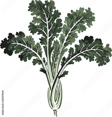 A Bunch of Green Kale