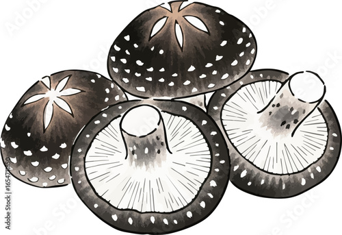 A Pile of Shiitake Mushrooms