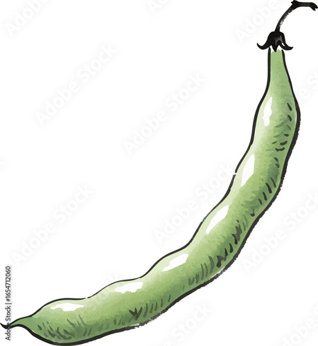 A Single Green Bean
