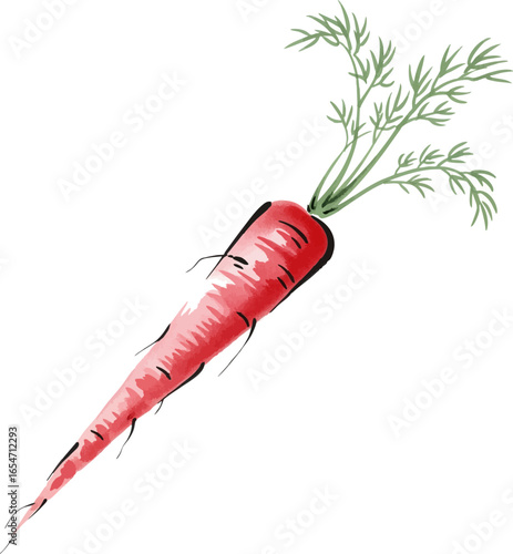 A Single Red Carrot