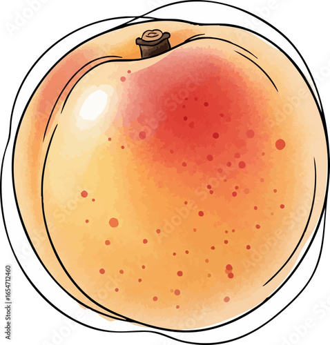 A Single, Beautiful Apricot