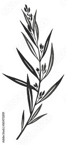 A Sprig of Tarragon