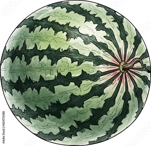 A Whole Watermelon