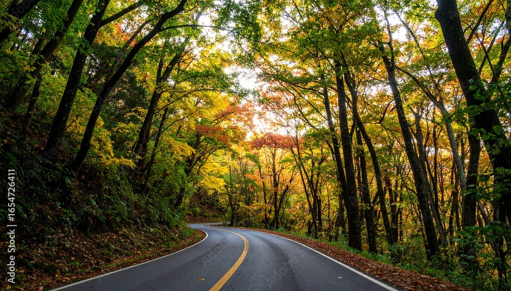Obraz premium Winding Road Through a Colorful Autumn Forest