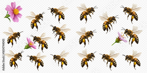 A collection of illustrated honeybees flying in a pattern with pink cosmos flowers on a transparent background.