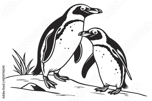 Two penguins standing on a rock isolated on white background