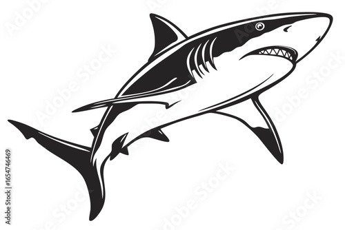 Great white shark with open mouth isolated on white background