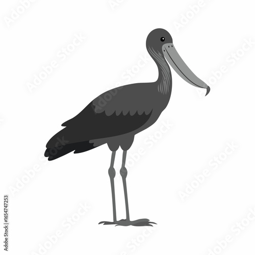Shoebill Stork Standing. Black and white Shoebill Stork Standing image vector on white background.