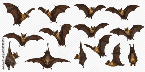 A collection of illustrated brown bats in various dynamic poses, including flying with wings spread, hanging upside down, and resting.