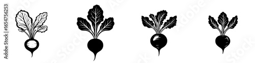 Unique black and white illustrations of radishes showing different angles and designs for artistic inspiration